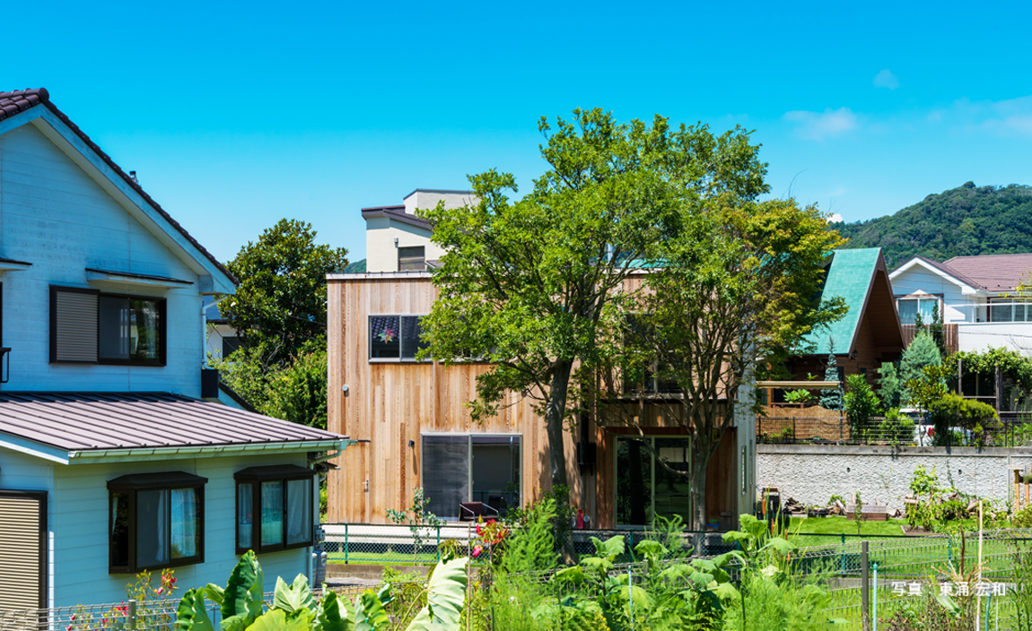 こだわりと特徴