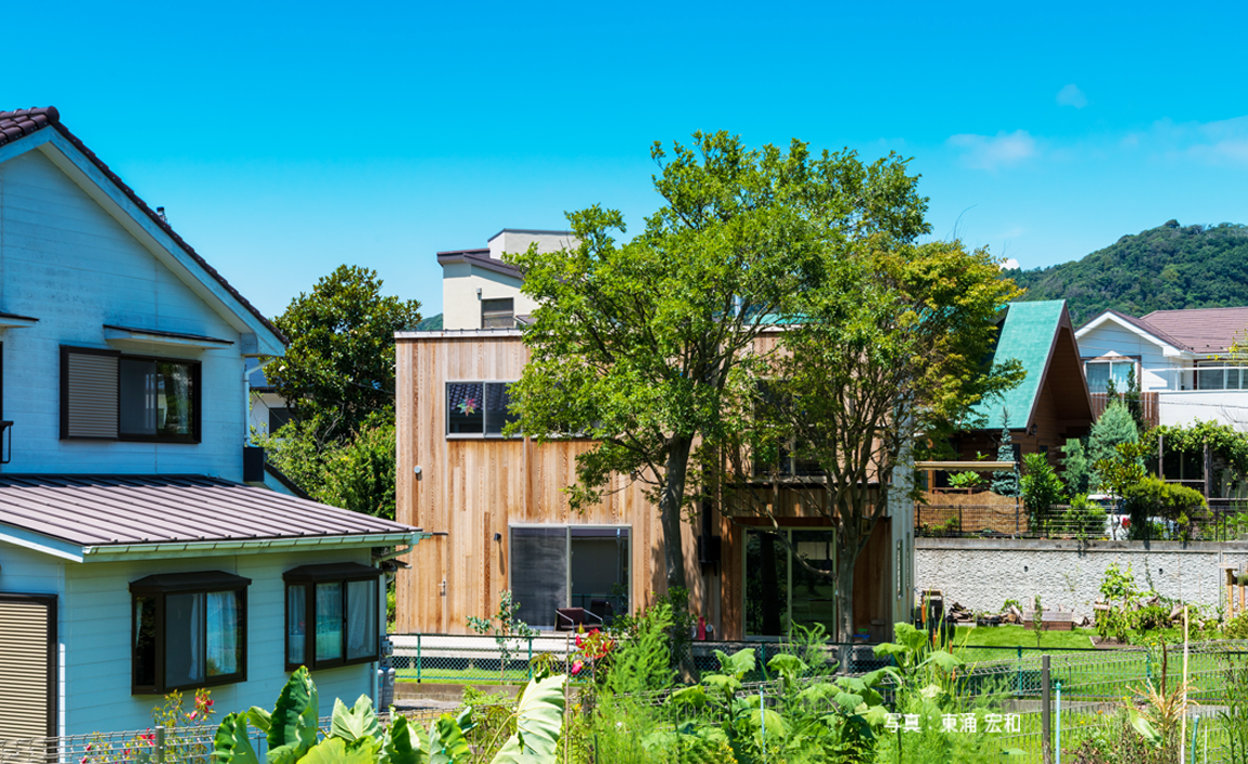 こだわりと特徴